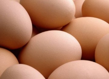 Egg Exports at Record High