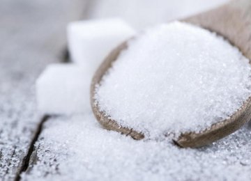 Sugar Output Estimated at 1.3m Tons