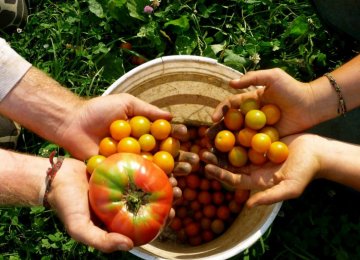 83,000 Hectares Under Organic Farming
