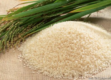 ‘No Rice’ Import This Year