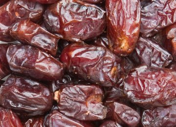 Date Exports