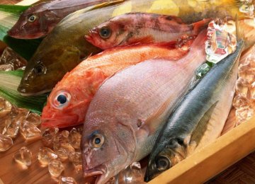 Seafood Export Target: $350m By Yearend