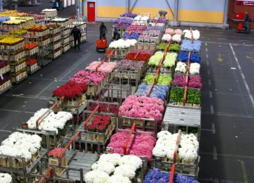 Flower Exports