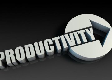 Sustainable Growth Function of Increased Productivity