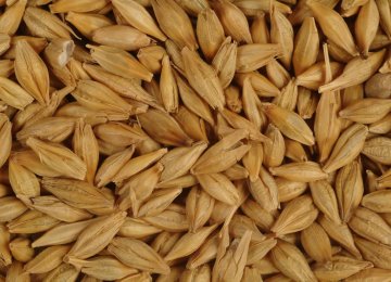 Barley Import Up 129%