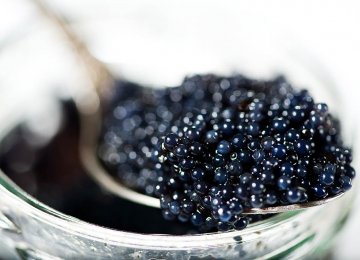 Caviar Exports Improve
