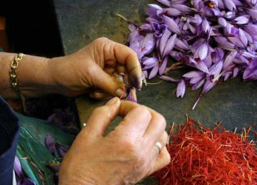  Saffron Exports Rise
