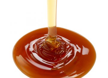 Malt Extract Production