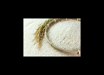 Rice Imports Disorganized