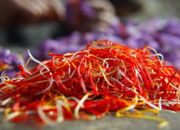 Rise in Saffron Exports