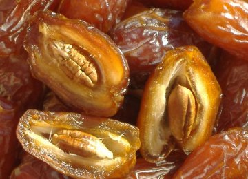 Investment Opportunities in Date Seed Oil Extraction