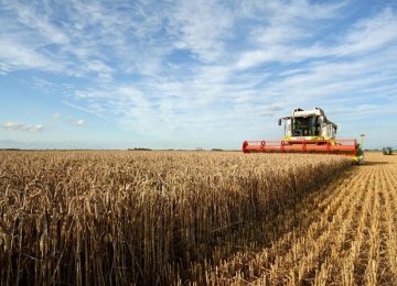 Wheat Policy Looks Set to Change