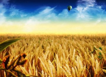 Rising Wheat Imports