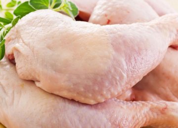 Poultry Export Credits