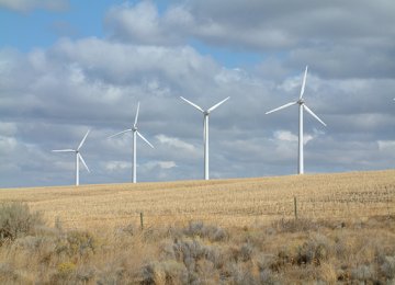 German Co. May Invest in Renewables