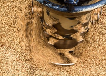 Wood pellets: US Less Known Energy Boom