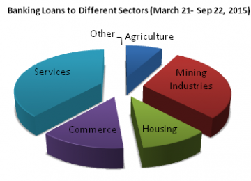 Services Sector Gets Biggest Chunk of Loans