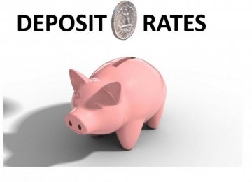 Expert Criticizes Idea to Cut Deposit Rates