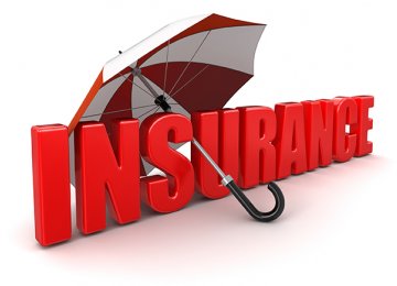 Insurers Post  High Growth in H1  