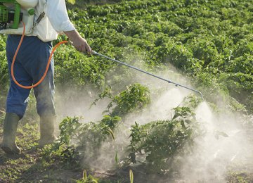 80% of Pesticide Demand Met at Home