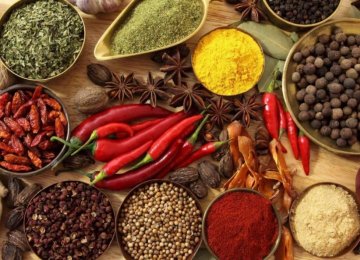 Investment Opportunities Series: Setting Up Spice Production Line