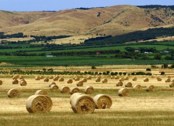 Australia Offers Big Opportunity  for Iran’s Agro Sector