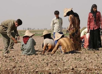 Capital Outflow From Agricultural Sector 