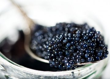 Iranian Caviar Gears Up for Strong Comeback