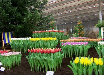 Flower Cultivation, an Enchanting Business Opportunity