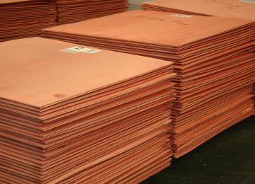 Copper Makes Debut at IME Export Floor