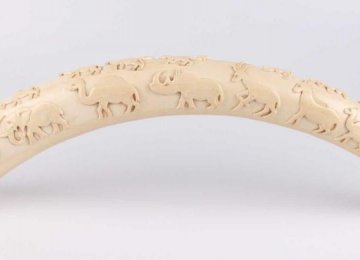 EIA: African Ivory Smuggled on Chinese State Visits