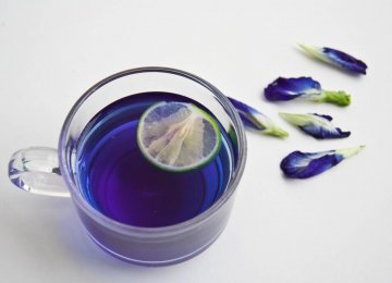 Borage Tea  With Dried Lime