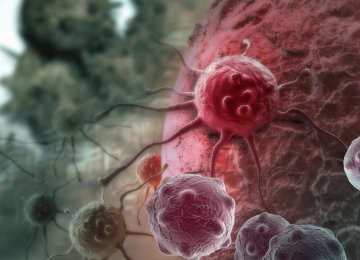 Cancer Increase Cause  for Great Concern