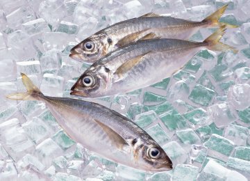 Vet Body Bans Open Fish Sales