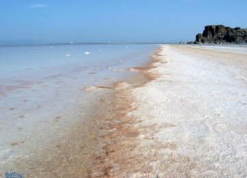 Lake Urumia’s Artemia Face Extinction