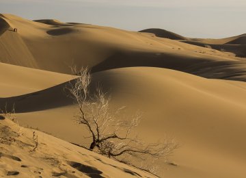 Lut Desert for World Heritage List