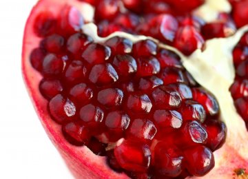  Semnan to Hold First Pomegranate Festival 