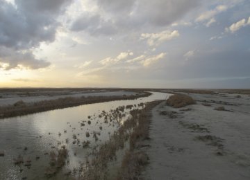  Salt Storms Threaten Gavkhuni Wetlands