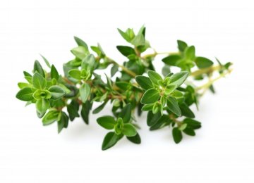 Treating Colds With Thyme