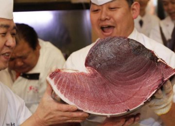 World’s Most Expensive Fish Sold for $1.8m in Japan