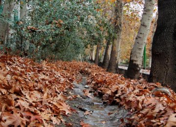 Greening Tehran to Help Improve Air Quality