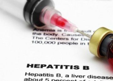 Hepatitis B Kit Produced