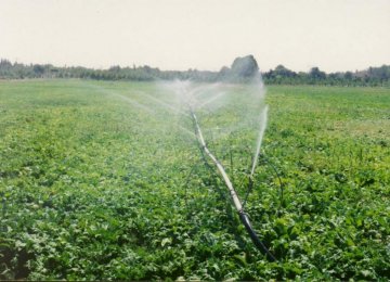 FAO to Assist in Water Conservation