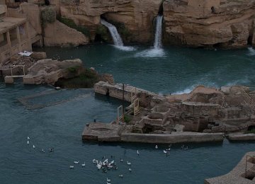 Ducklings Smell Trouble at Shushtar Waterfalls