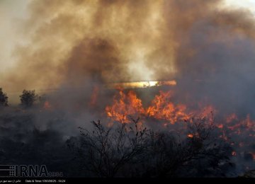 Ashuradeh  Fire Losses