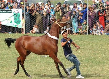 Equestrian Eco-Camp in Sanandaj