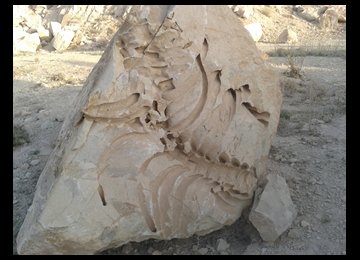Fossil found  in Shirinsu