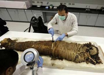 Mummies in Sewage