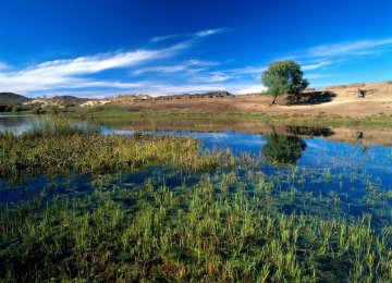 Parishan Lake Recovery