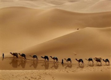 The New Silk Road 